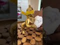 Pran Pratishtha 1Day Krishn Laddu Gopal
