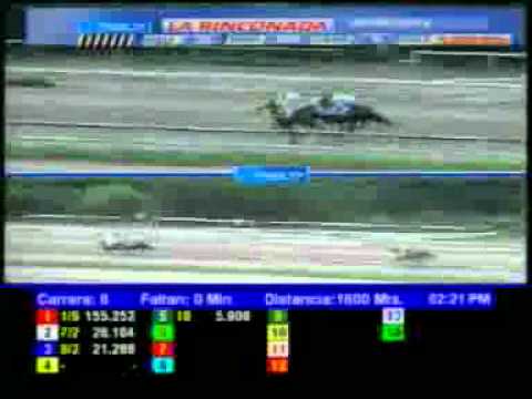 6TA CARRERA DOM 06 MAYO GRAN PREMIO UNICRIA 2012 LA RINCONADA AUDIOHIPISMO