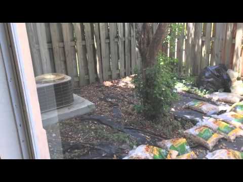 12171 SW 124th Path, Miami, FL 33186 - Kendall Breeze