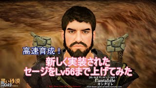 【黒い砂漠】新しく実装されたセージをLv56まで上げてみた【使用感など】