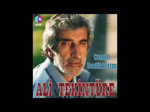 ALİ TEKİNTÜRE   AKLI YOK     Solist ADNAN TAYFUN  ELENOR