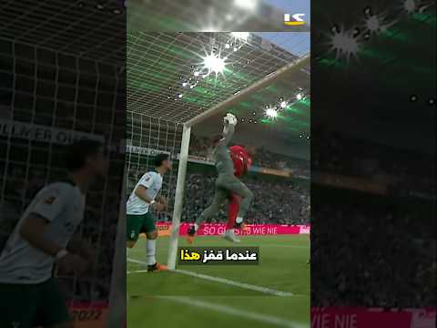 عندما قفز حارس المرمى هذا لالتقاط الكرة في زاوية واحدة 🤯