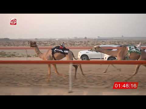  ش 8 (مجموعه) لـ منصور سيف علي بن دري المنصوري 3:01 ، شارة الشيخ طحنون 2026/8/15 فطامين السمحه