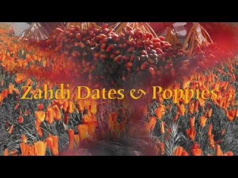 Zahdi Dates and Poppies (2016 Project Introduction)