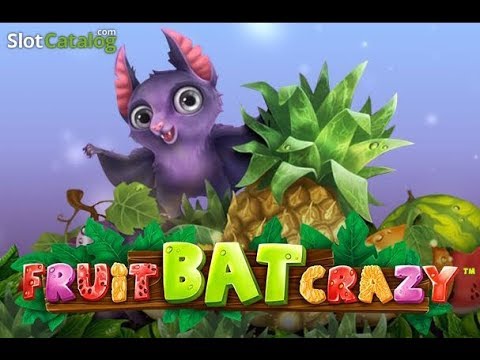 Fruit Bat Crazy gameplay video