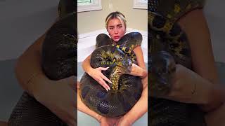 The Snake Was Starving But Not for Food #snake