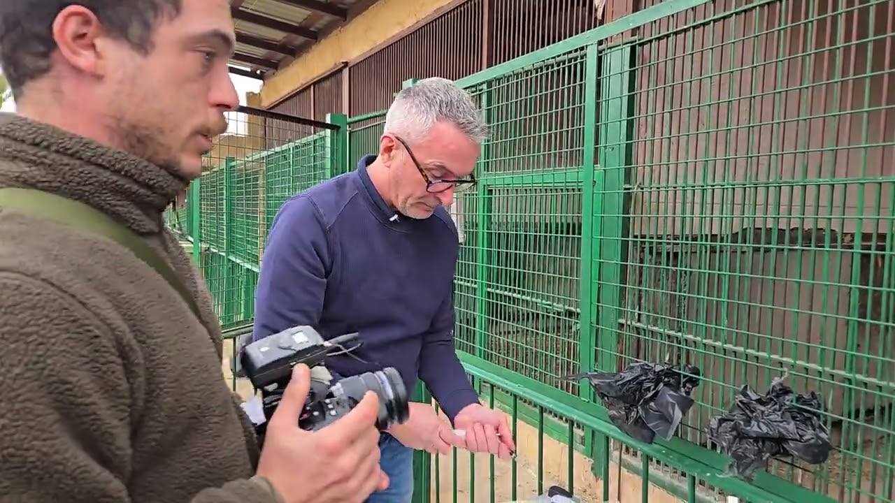 Vet preparing the sedative