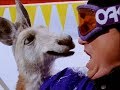 Foster S Ice Jumper 1994 UK