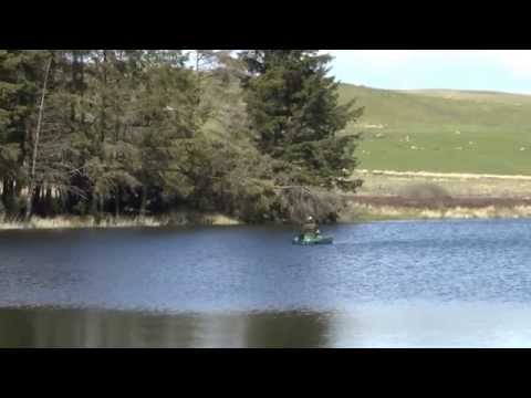 Sea Eagle Video 6
