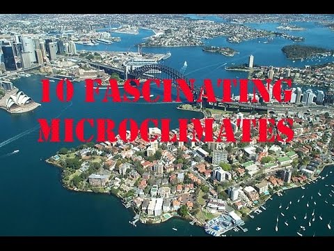 Most Interesting Facts | 10 Fascinating Microclimates