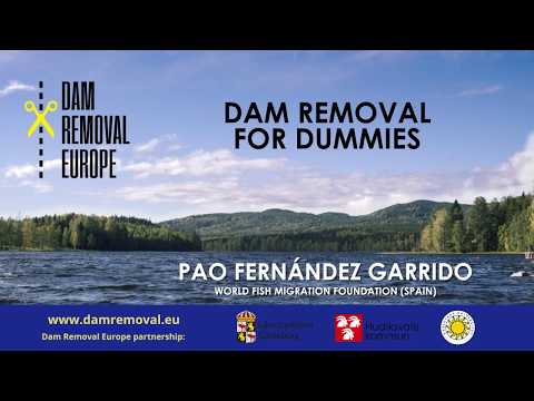 Dam removal for dummies with Pao Fernández Garrido