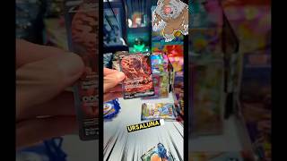 PRISMATIC BEAR 🐻 #pokemon #pokemonchannel #pokemoncards #livebreaks #pokemontcg