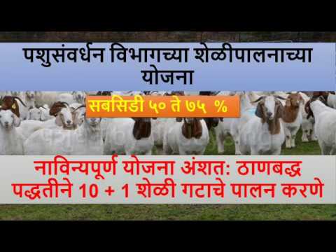 download lagu mp3 mp4 Government Schemes For Goat Farming In Maharashtra, download lagu Government Schemes For Goat Farming In Maharashtra gratis, unduh video klip Government Schemes For Goat Farming In Maharashtra