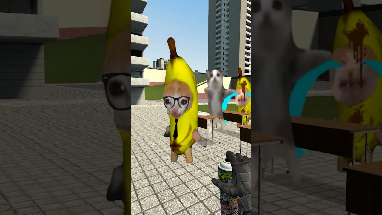 Bananacat at School #gmod 😸🍌