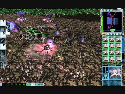 Zocom Vs Reaper 17 Brutal Ai Steamroller