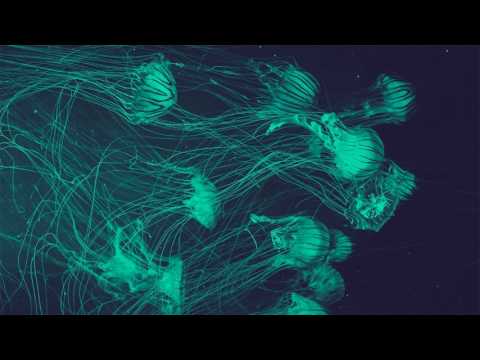 🕋 Fausto's SoundClub #14 - PODCAST by SOUNDFAUSTO 🕋