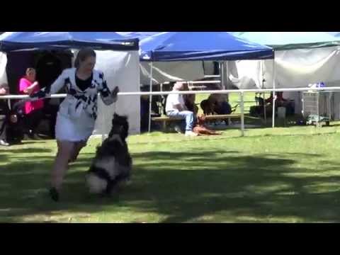 Ch Suliman Poetic Justice...RYMER