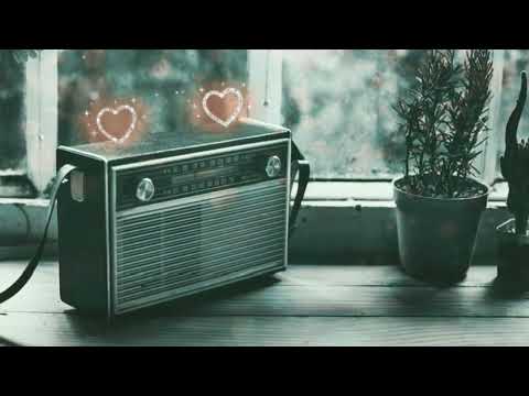 Humne apna sab kuch khoya status