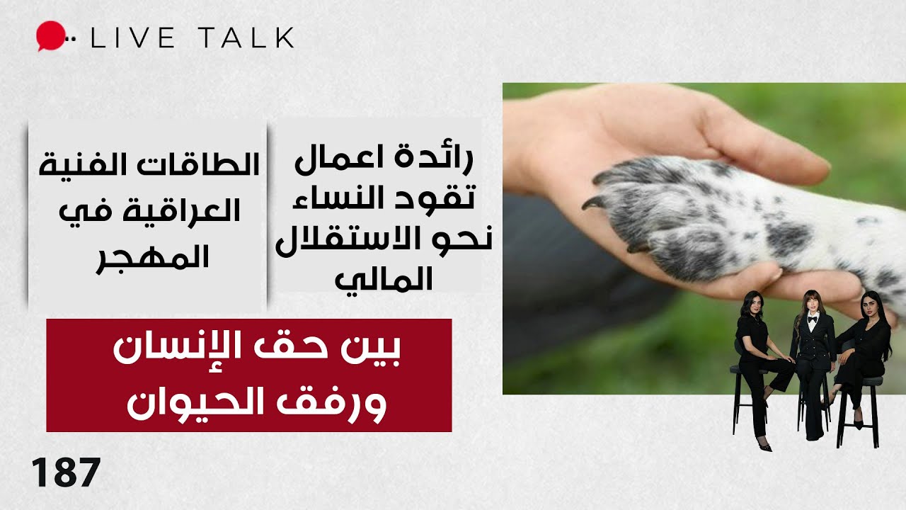 فيديو | بين حق الإنسان ورفق الحيوان - Live Talk - الحلقة ١٨٧