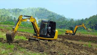 Aktivitas Alat Berat Mini Excavator di Bekas Lahan Tanaman Tebu