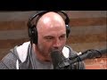 Joe Rogan Everything Is Connected