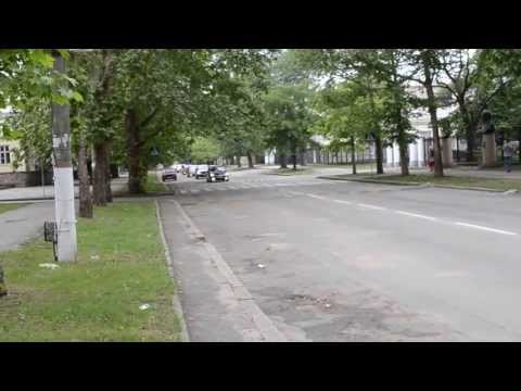 Свадебный кортеж