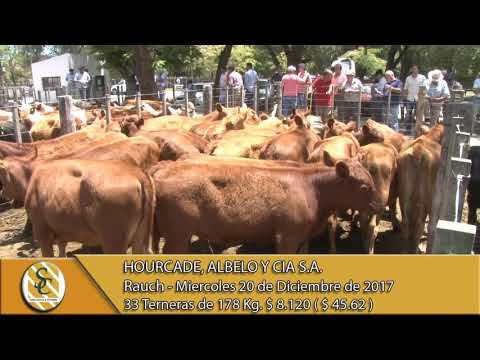 20-12-17 Venta de Hembras - Hourcade, Albelo y Cia S.A. - Rauch.