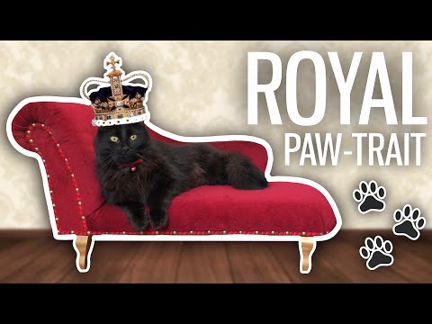 I Took a Royal PAW-trait of my Cat