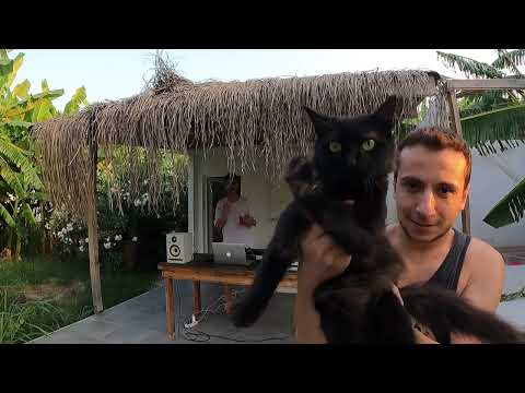 BERLN & DON'T PANIC - SET OF THE DAY ( HEERHORST & DANNY AVILA & THE YELLOW HEADS & ARTBAT )