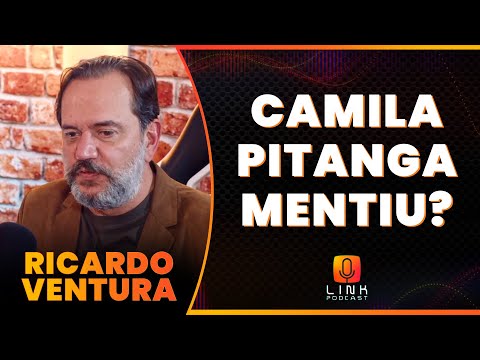 Did Camila Pitanga lie about Domingos Montagner's death? | Ricardo Ventura | Link Podcast