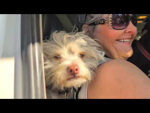 Bouse AZ Day Trip | Fisherman Intaglio | Off-Road Jamboree & Farmers Market Finds