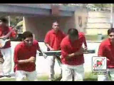 El Chancho de mi Comadre - Armonia 10