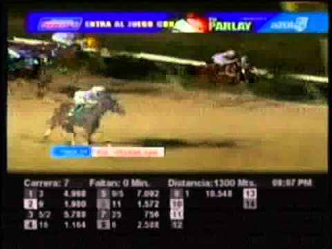 Resumen Jueves, 06 de Diciembre de 2012 - Valencia