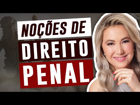 NOÇÕES GERAIS DE DIREITO PENAL - INTRODUÇÃO AO DIREITO PENAL