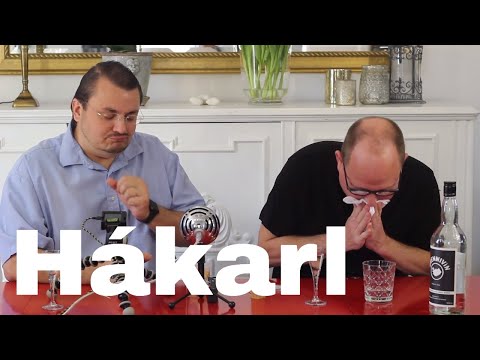 Andreas & Sam try Hákarl, Icelandic rotten shark