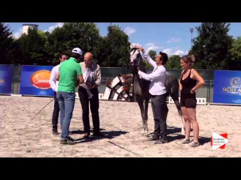 2nd place N.22 SA MADISON - Festival FVG 2015 - Junior Males Championship (Class 16)