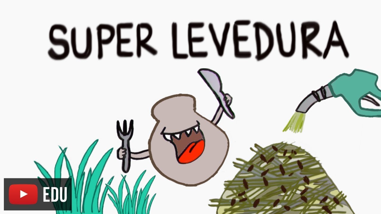 Biofuels and mutant yeast