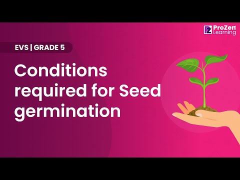 Conditions required for Seed germination |Seed Germination and Seed Dispersal