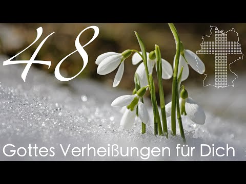 Gottes Verheißungen für Dich - Psalm 118,16 | Videokalender 48/365 - Deutschland braucht JESUS