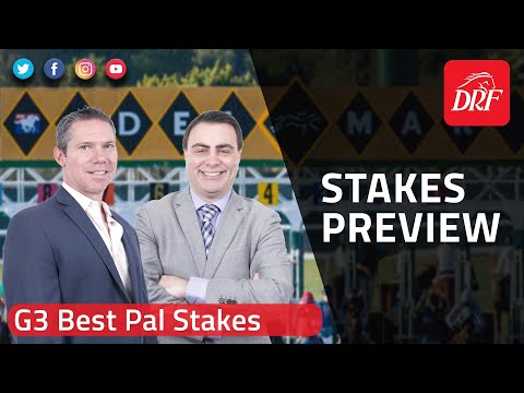 Grade 3 Best Pal Stakes Preview 2022