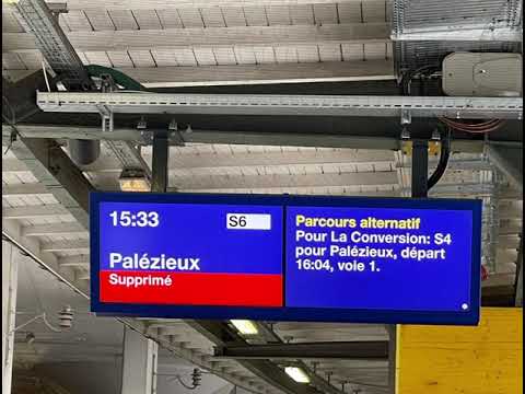 🌨 Informations sur le trafic ferroviaire des @sbbcffffs ❄️