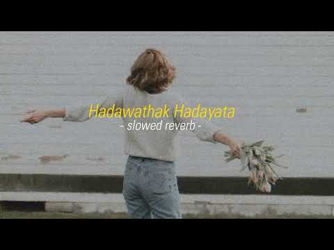 Hadawathak Hadayata || හදවතක් හැඩයට ||Slowed + Reverb | - Denu Art - ||