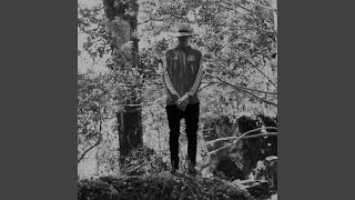 Can&#39;t Hold Me Down