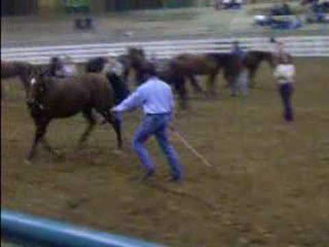 Video from Clinton Anderson Clinic