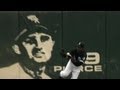 Dewayne Wise ROBS a home run to preserve Mark Buehrle's PERFECTO!