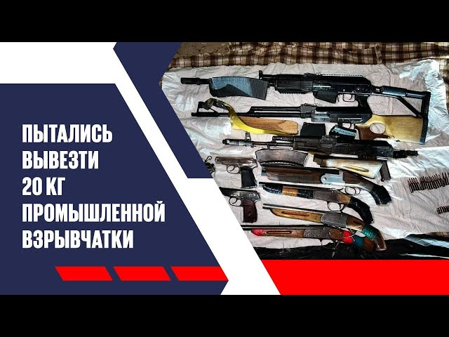 Силовики раскрыли подпольные оружейные каналы