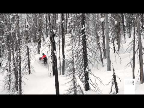 509 - Volume 8 - Behind the Lens - Episode 2 (The Micku's)