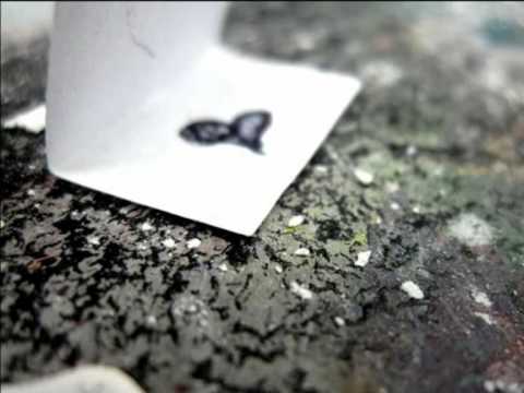 STADIO - IL  SEGRETO