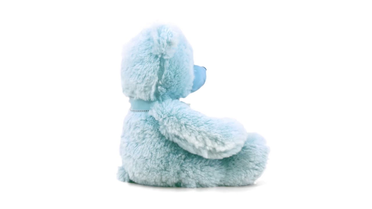 Blue Super Soft Teddy Bear 14