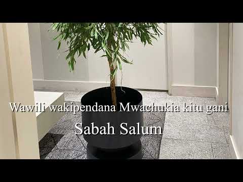 WAWILI WAKIPENDANA MWACHUKIA KITU GANI/ SABAH SALUM @Mizikiyote #taarabmusic #taarabsongs
